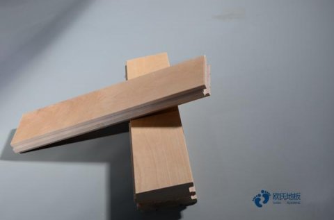 常用運(yùn)動體育木地板行業(yè)品牌